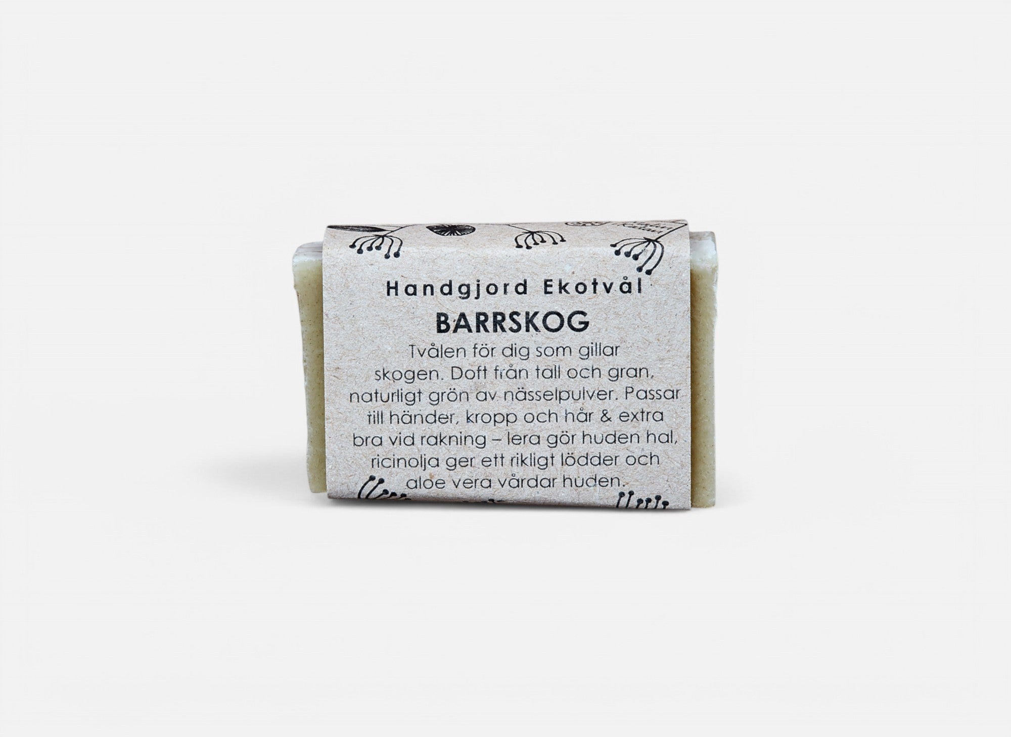 Ekotvål Barrskog